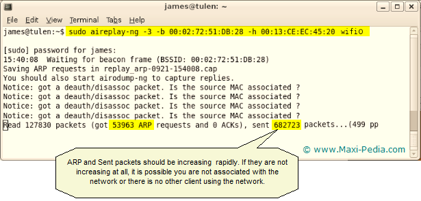 Tomsnetworking How To Crack Wep With Windows